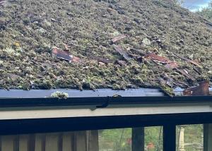 Roof Cleaning Tunbridge Wells - Stay Dry Roofing
